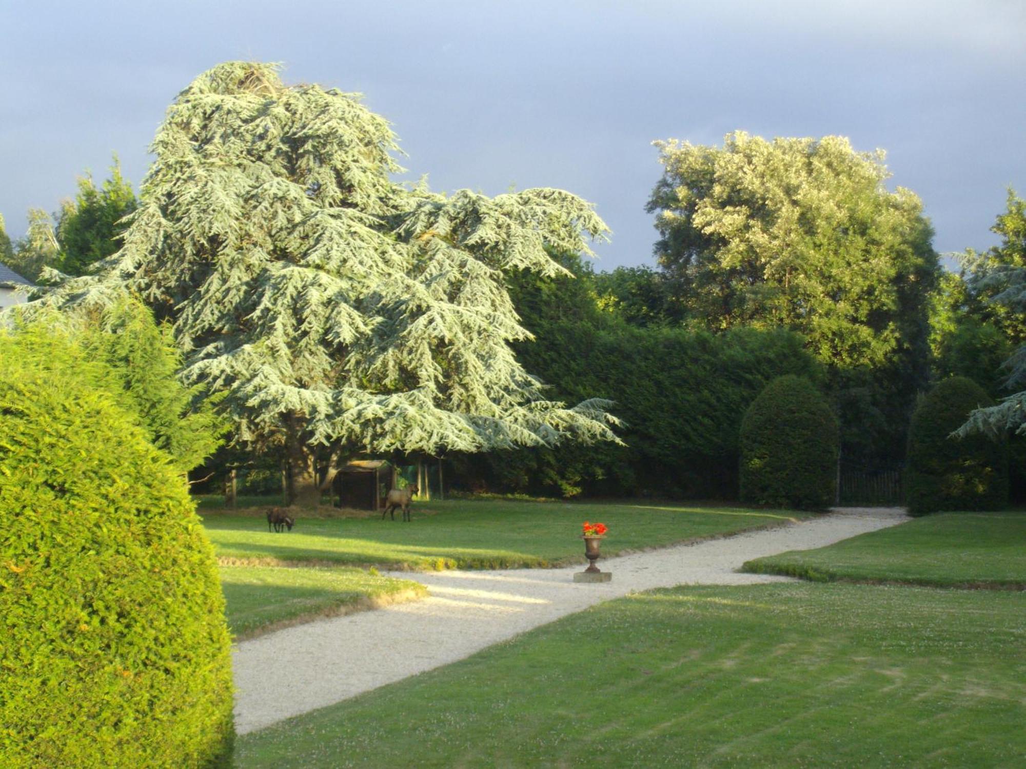 Bed and Breakfast Manoir De La Baronnie Saint-Malo Exterior foto